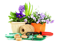 Цветоводство