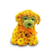 Флористика и фитодизайн