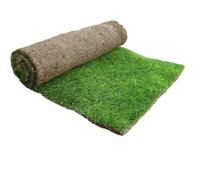 Газоны рулонные