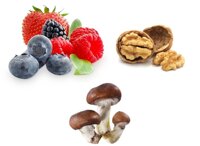 Грибы, ягоды и орехи