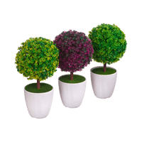 Саженцы декоративных деревьев и кустарников