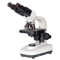 Услуги лабораторий