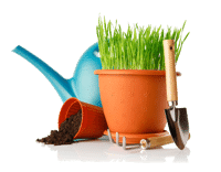 Услуги по обработке почвы и посеву