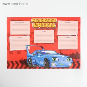 Расписание уроков А4 "Для чемпиона"