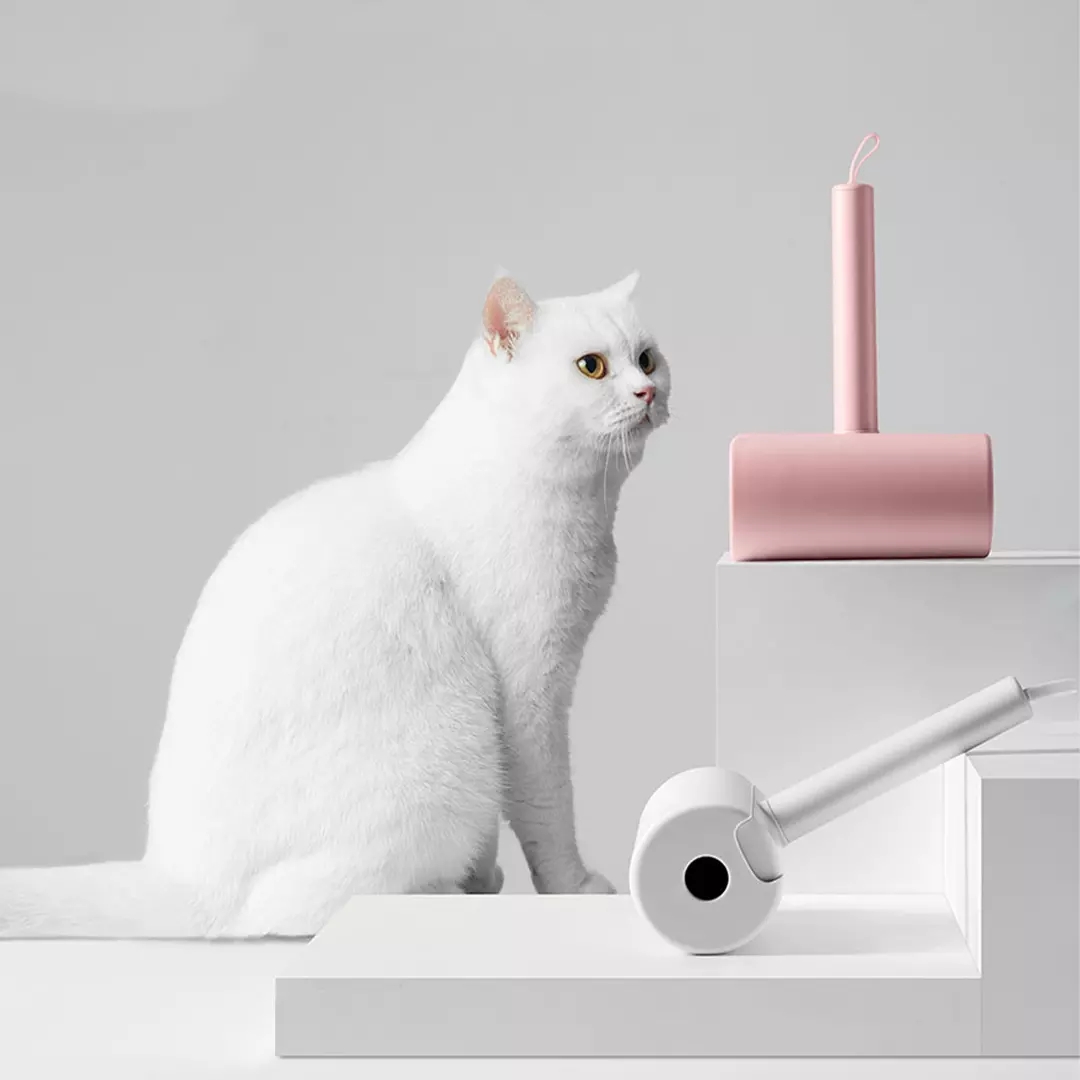 64241024 - 7c31 - 4014 - 9e7a - 3f5b30b6345b.jpg